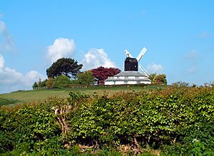 Hogg Hill Mill.jpg