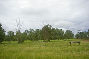 Holmes Jungle Nature Park