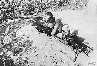 Indian troops in Arakan