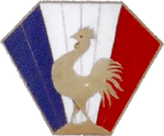 Insigna CEF.png