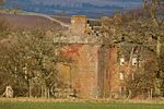 Inverquharity Castle - geograph.org.uk - 1115653.jpg