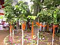 Karam puja in jharkhand