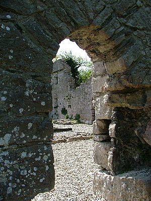 Llys euryn door