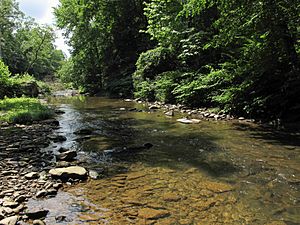 Loop Creek WV.jpg