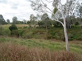 Lower Lockyer Creek.jpg