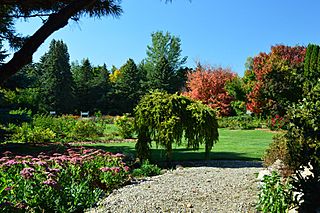 McCrory Gardens in Fall