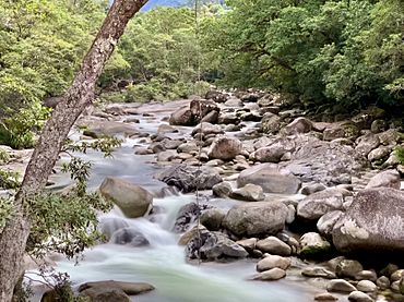 Mossman Gorge, Queensland, July 2020, 02.jpg