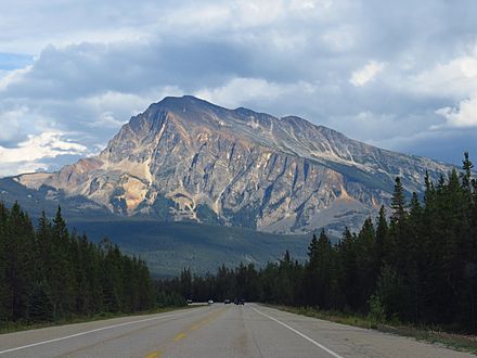 Mt. Hardisty from Icefelds Parkway