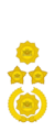 Myanmar officer rank insignia 9.5.png