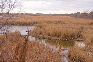 New Jersey Meadowlands with landfill