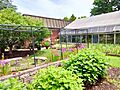 Ohio University Greenhouse