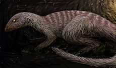 Oryctodromeus