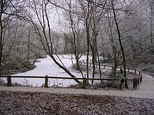 Pond at Goff's Park Crawley January 2009