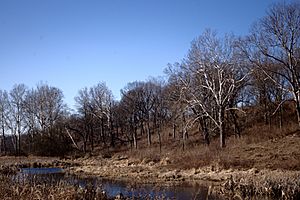 Prophetstown State Park.jpg