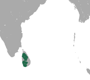 Purple-faced Langur area.png