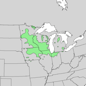 Quercus ellipsoidalis range map 1.png