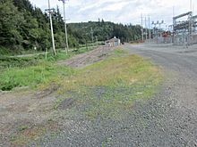 Remnants of the Gardiner Mill