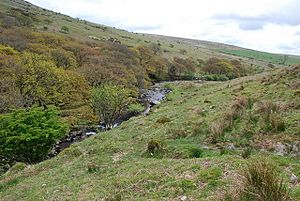 River Erme - geograph.org.uk - 1299803