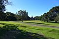 Royal Botanic Gardens Sydney Parade Ground 2017