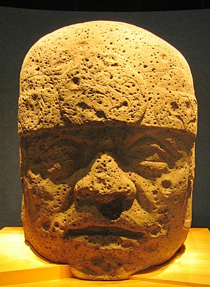 San Lorenzo Colossal Head 2, from Veracruz