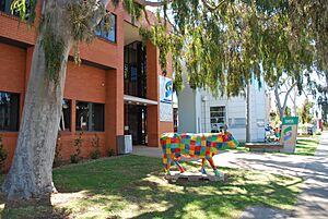 Shepparton Council Offices Cow