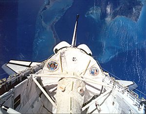 Spacelab Module in Cargo Bay.jpg