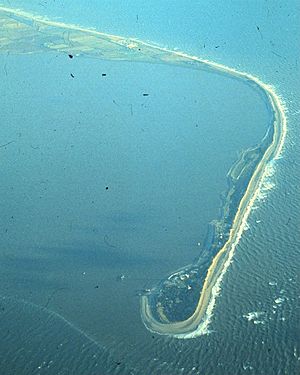 Spurn in 1979