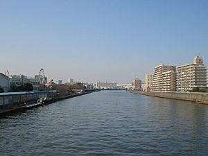 Sumidagawa river