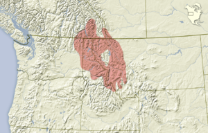 Tamias ruficaudus distribution map.png