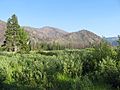 Warm Springs Meadow