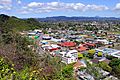 Whakatane township