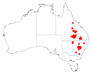 Acacia ixodesDistMap475.png