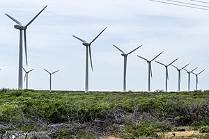 Aerogeneradores en Punto Fijo