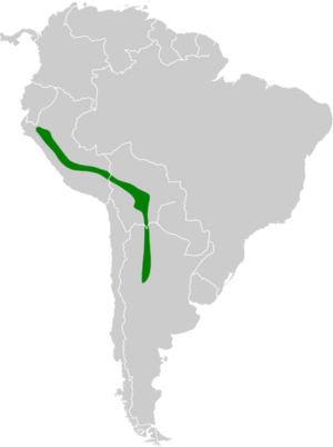Amazilia chionogaster map.svg
