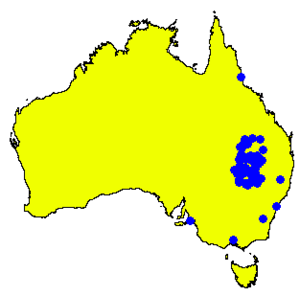 Angophora melanoxylon DistMap.png