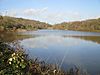 Ardingly Reservoir