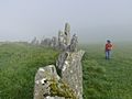 Beltany Stone Circle P1180130.jpg