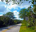 Big Cypress National Preserve SR 94