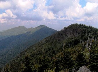 Black-mountain-crest-nc1