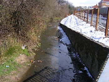 Butterworth Hall Brook 1.JPG