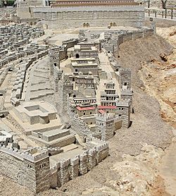 City of David