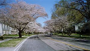 Crofton Parkway spring