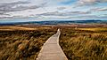 Cuilcagh, Fermanagh - 33762156926