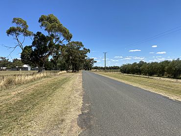 Downside Village Road in Downside.jpg