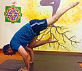 Eka-Pada Bakasana 