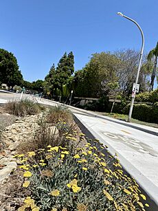 Elenda Bikeway, Culver City