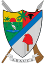 Escudo de Arauca.svg