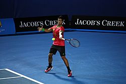 Fernando Verdasco at the 2011 Australian Open1