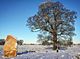 Soulton Standing Stone One