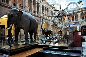 General internal view. Kelvingrove Art Gallery and Museum, Glasgow, Scotland.